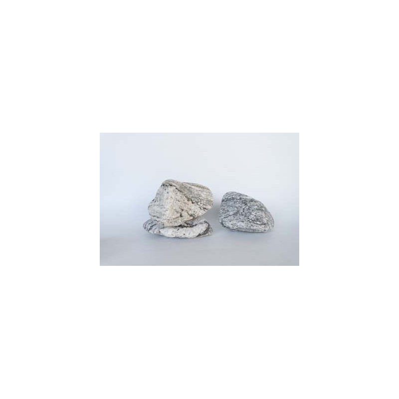 Tarzan Rock 0.7-1.4kg SCALARE Tarzan Rock 0.7-1.4kg SCALARE