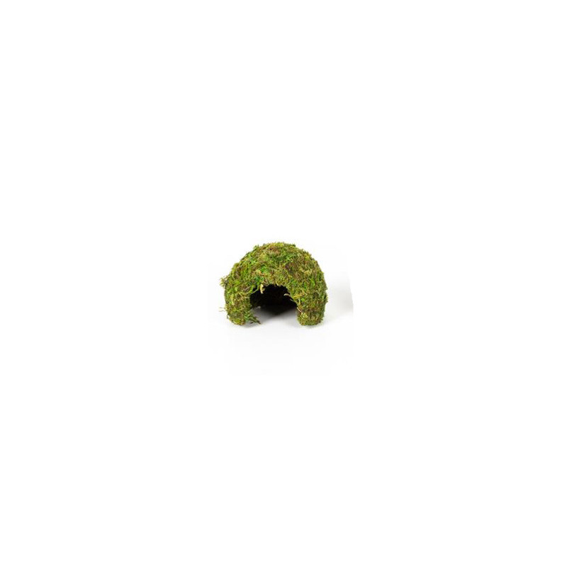 DOME MOUSSE NATURELLE 11x11x9cm REPTIZOO DOME MOUSSE NATURELLE 11x11x9cm REPTIZOO
