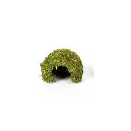 DOME MOUSSE NATURELLE 11x11x9cm REPTIZOO