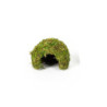 DOME MOUSSE NATURELLE 11x11x9cm REPTIZOO
