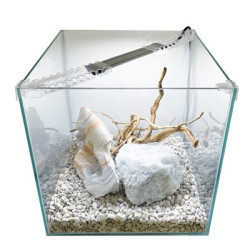 NEWA EGO LID 50 BLANC avec LED 3.9w 45L
