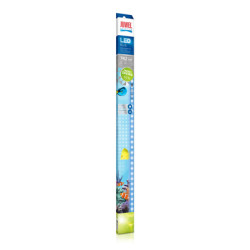 BLUE LED 742mm JUWEL