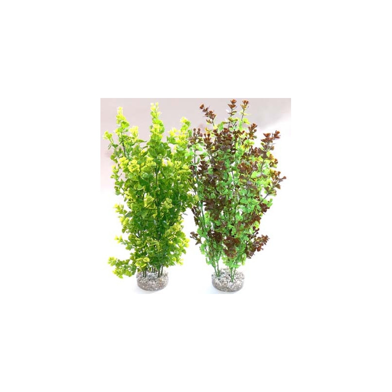 BUTTERFLY XL H:36cm SCALARE