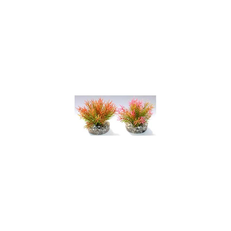 PETITE MOSS H:9cm SCALARE