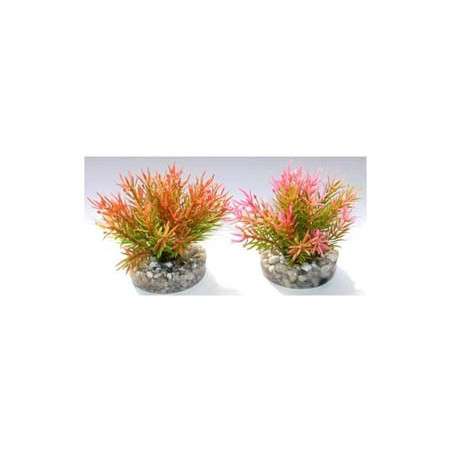PETITE MOSS H:9cm SCALARE