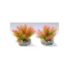 PETITE MOSS H:9cm SCALARE