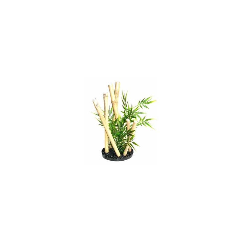 BAMBOO GARDEN BLACK STYLE H:24cm SCALARE