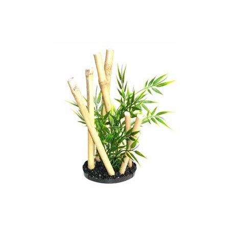 BAMBOO GARDEN BLACK STYLE H:24cm SCALARE