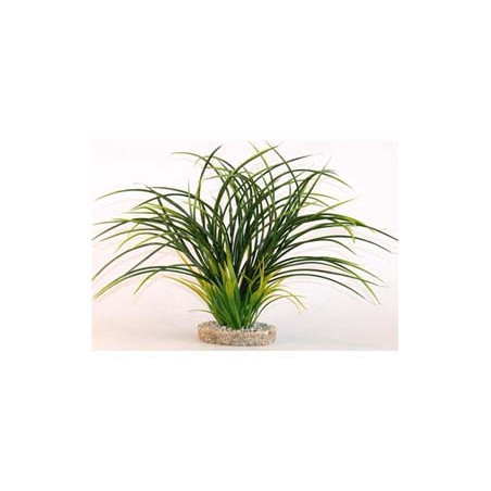 FAN GRASS H:30cm SCALARE