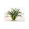 FAN GRASS H:30cm SCALARE