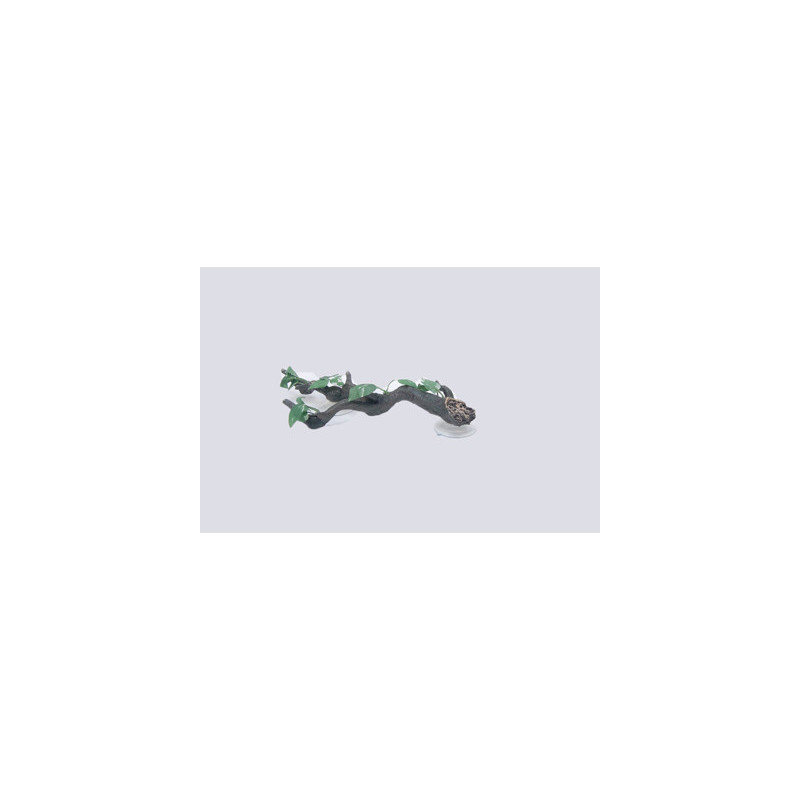 ROOT PLANT W/SUCTION CUP 350x150x70mm----- ROOT PLANT W/SUCTION CUP 350x150x70mm-----
