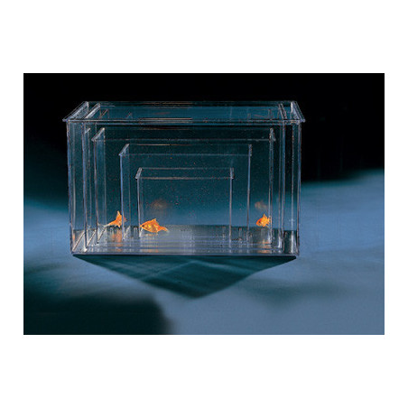 CUVE PLASTIQUE 2.6L 18.5x12.2x11.8cm