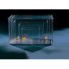 CUVE PLASTIQUE 2.6L 18.5x12.2x11.8cm