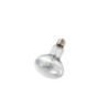 LAMPE SUPERSUN UVA + UVB 75W REPTIZOO