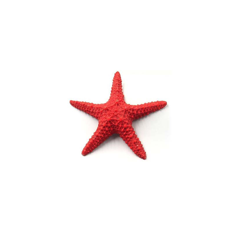Étoile de mer 15x15x3cm SCALARE Étoile de mer 15x15x3cm SCALARE