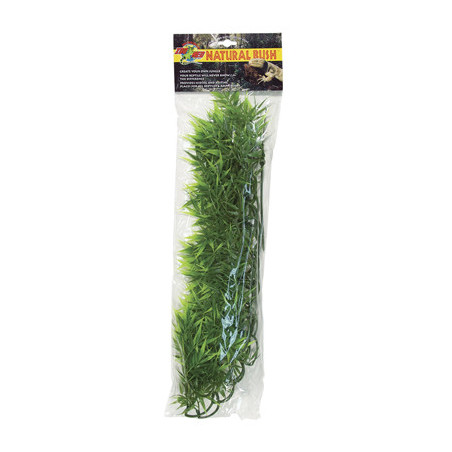 PLANTE MADAGASCAR BAMBO GM - ZM