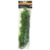 PLANTE MADAGASCAR BAMBO GM - ZM