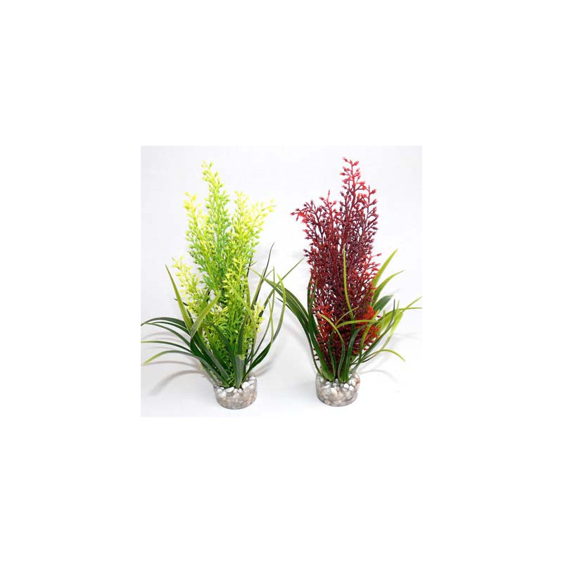 TROPICA H:20cm SCALARE
