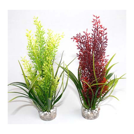 TROPICA H:20cm SCALARE