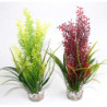 TROPICA H:20cm SCALARE
