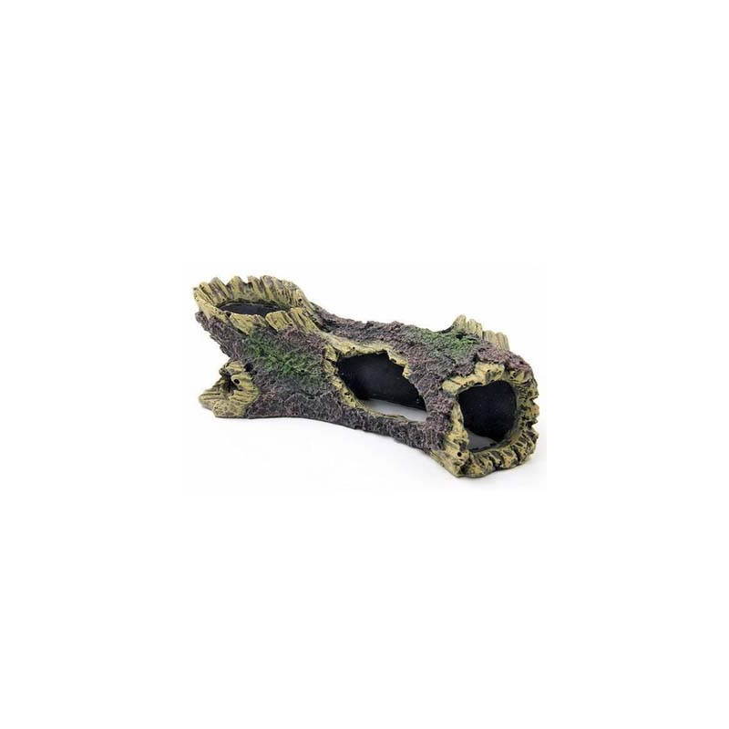 Souche 18.3x8x5.3cm SCALARE Souche 18.3x8x5.3cm SCALARE
