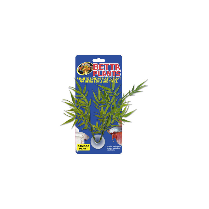 Betta Plant Bamboo ZOOMED Betta Plant Bamboo ZOOMED