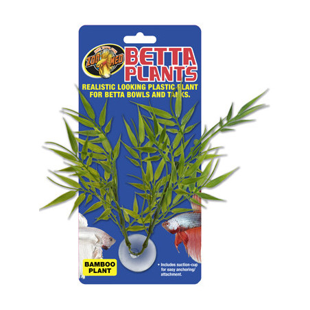Betta Plant Bamboo ZOOMED