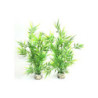 BAMBOO PICK H:25cm SCALARE