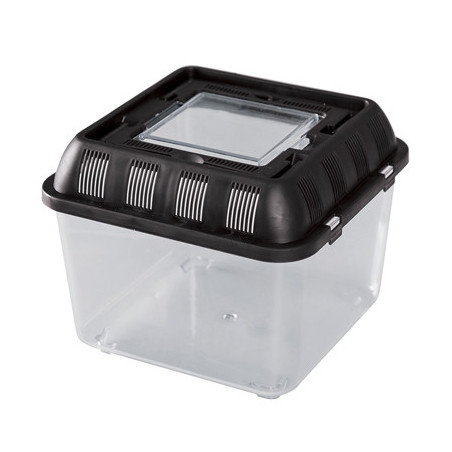 BOITE DE TRANSPORT REPTILES 20.5x20.5x17cm REPTIZOO