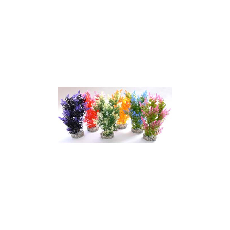 FIESTA BUSH H:22cm SCALARE