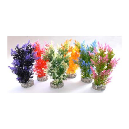 FIESTA BUSH H:22cm SCALARE