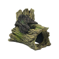 Souche 14x8.5x7.5cm SCALARE
