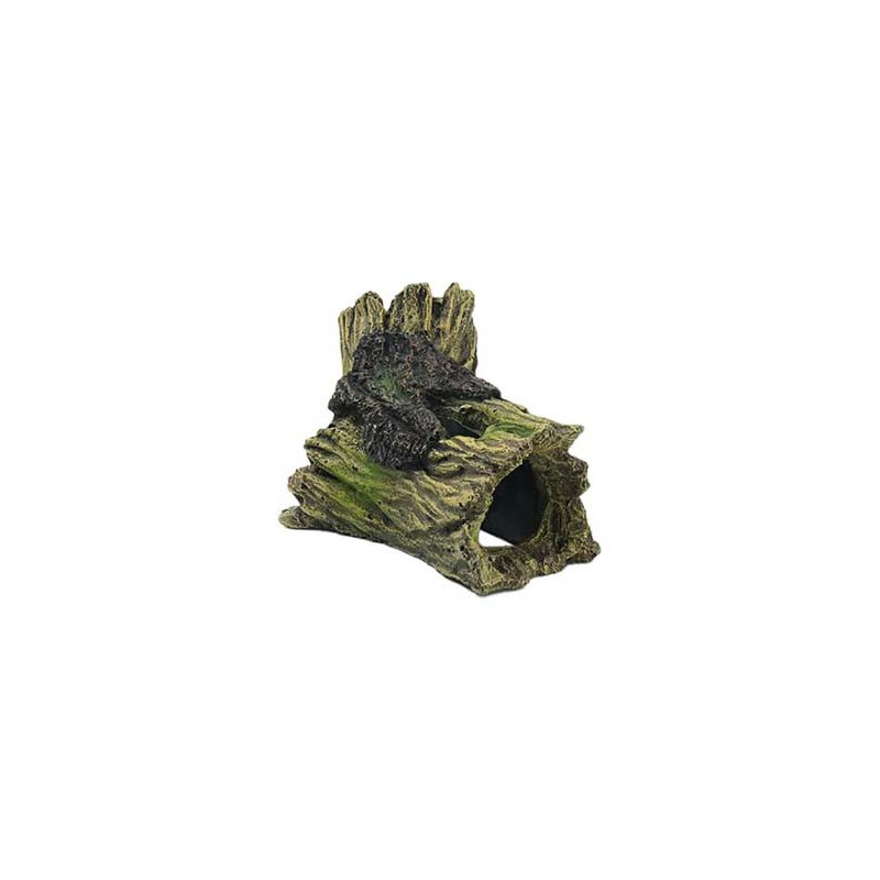 Souche 14x8.5x7.5cm SCALARE Souche 14x8.5x7.5cm SCALARE