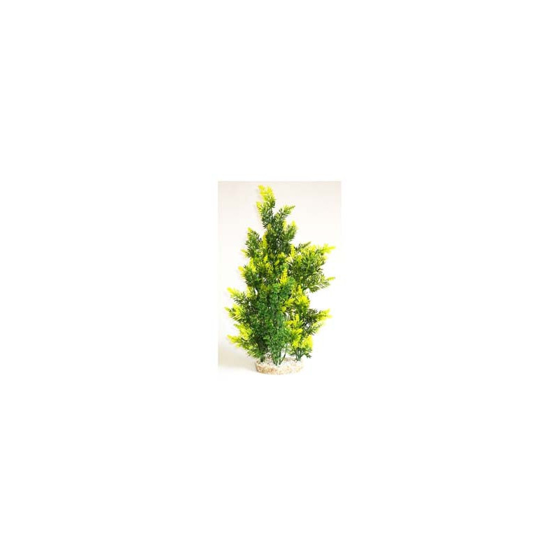 AQUAPLANT GIANT H:46cm SCALARE