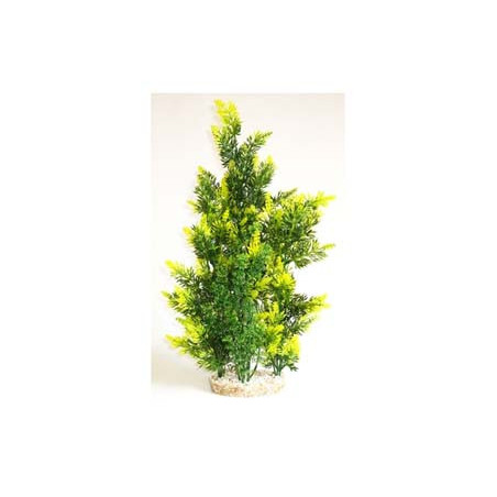 AQUAPLANT GIANT H:46cm SCALARE