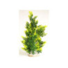 AQUAPLANT GIANT H:46cm SCALARE