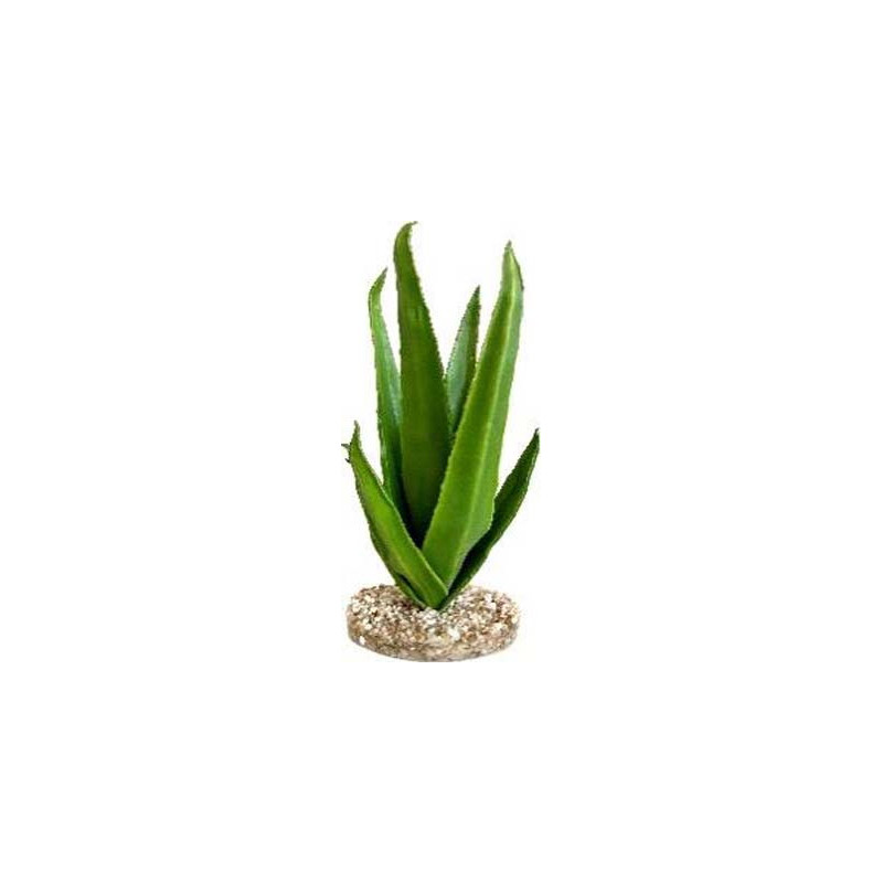 TERRA ALOE 29cm SCALARE