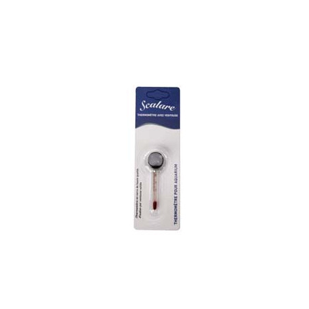 THERMOMETRE flottant+ventouse  blister SCALARE