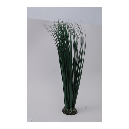 PLANT H:46cm SCALARE---