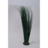PLANT H:46cm SCALARE---