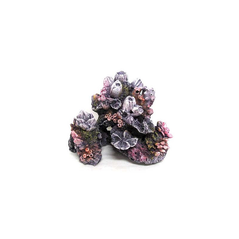 REEF ROCK SERIES MD3 19.7x11.8x15cm