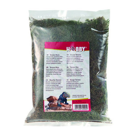*MOUSSE NATURELLE TERRANO HOBBY (sur commande)