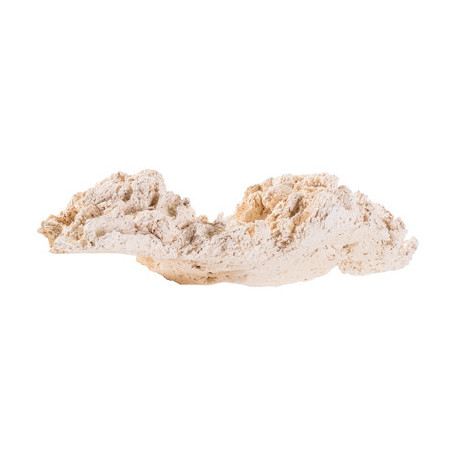 *ROCHE ARKA céramique Reef Plate 20cm (sur commande)