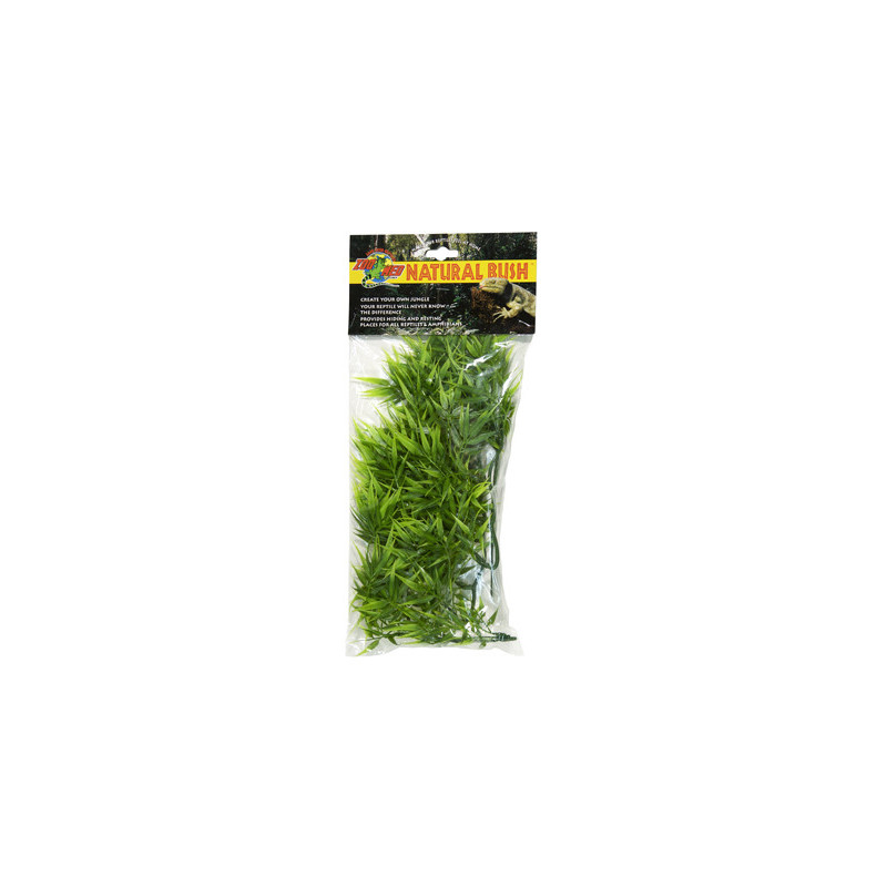 PLANTE MADAGASCAR BAMBO MM - ZM PLANTE MADAGASCAR BAMBO MM - ZM