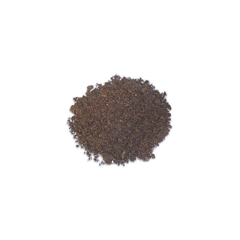 *TERRANO TERRA 4L (sur commande)