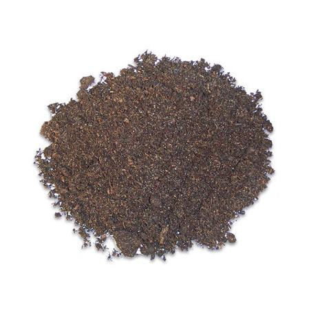 *TERRANO TERRA 4L (sur commande)