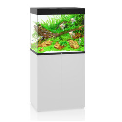 Aquarium LIDO 200 LED (2x led 590mm) NOIR JUWEL