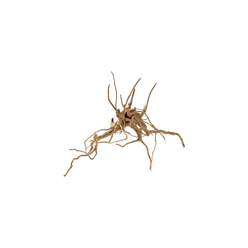 RACINE FINGERWOOD L 40-60cm HOBBY RACINE FINGERWOOD L 40-60cm HOBBY