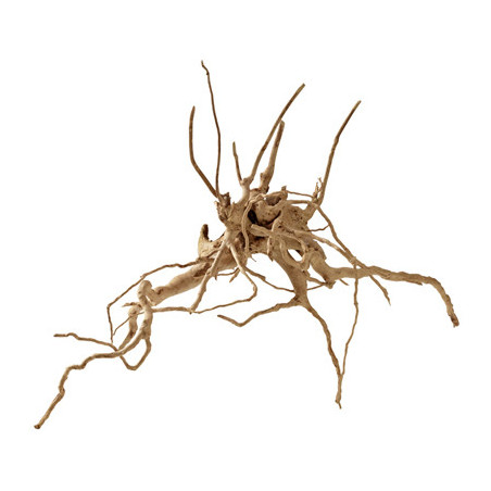 RACINE FINGERWOOD L 40-60cm HOBBY