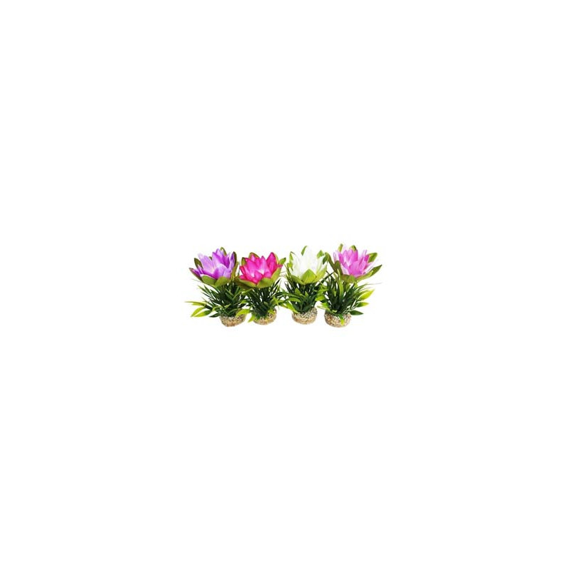 LOTUS FLOWER H:18cm SCALARE